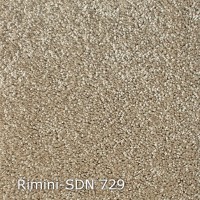 Rimini-SDN 729